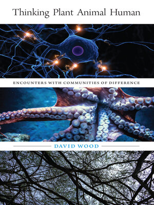 cover image of Thinking Plant Animal Human